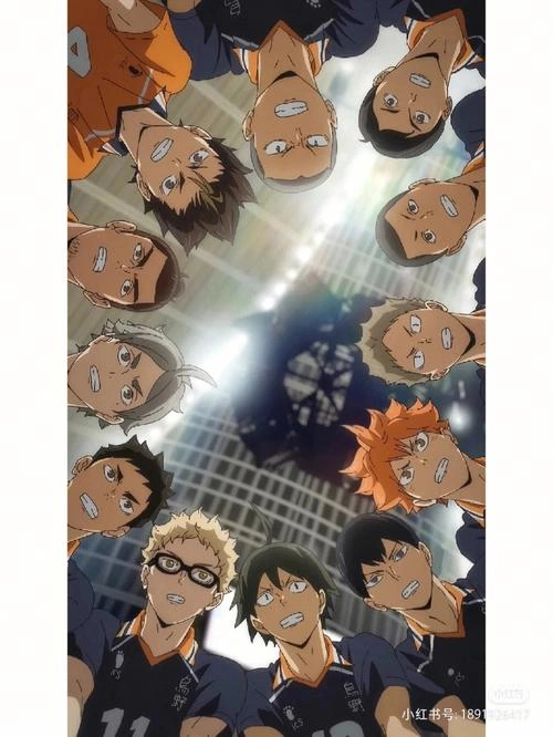 青之芦苇 动漫 宣传照