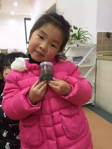 综艺 吉姆科学秀 剧照
