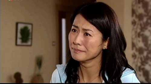 老婆大人2国语 宣萱 香港剧 官方剧照