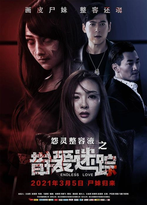 惊悚片 错爱迷踪海报