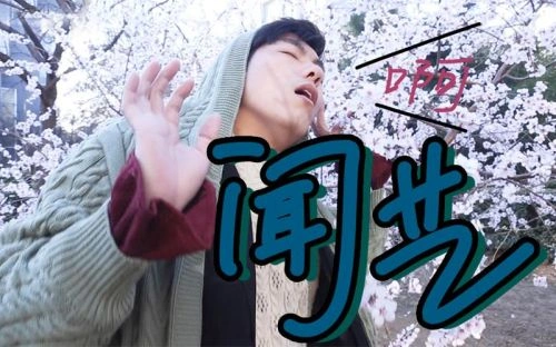 本末测评 综艺画面
