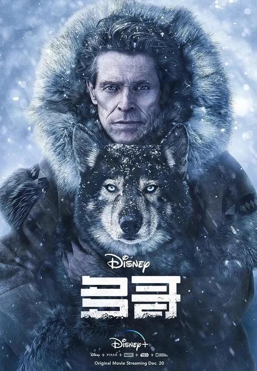 剧情片 暴风雪 剧照