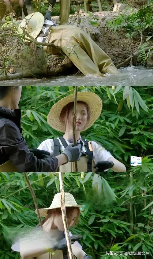 哈哈农夫 未知 综艺 官方剧照