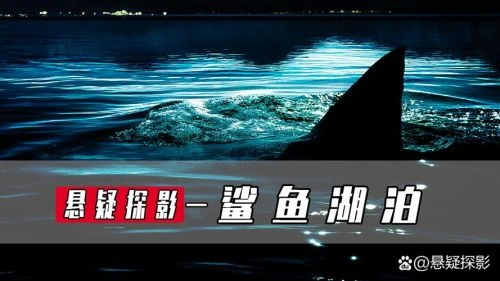 鲨鱼湖泊 詹姆斯·查尔克 惊悚片 官方剧照