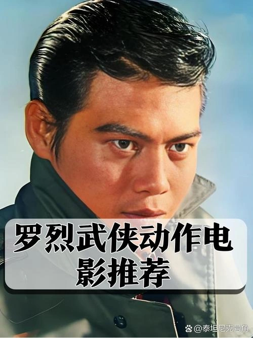 毒龙潭 罗烈 动作片 官方剧照