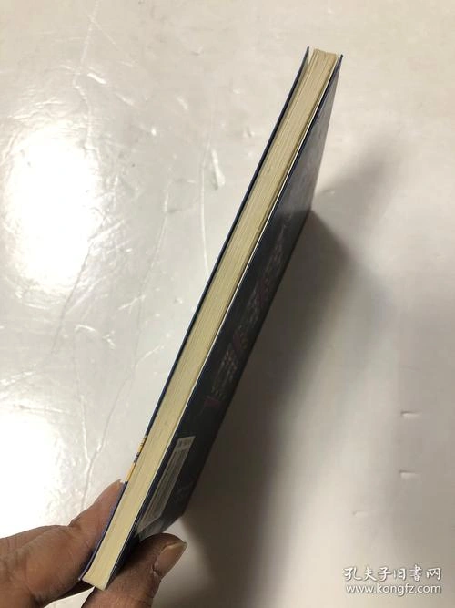 大雪怪 冒险篇 唐鑫