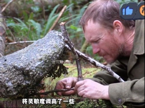 荒野独居第二季 综艺 海报