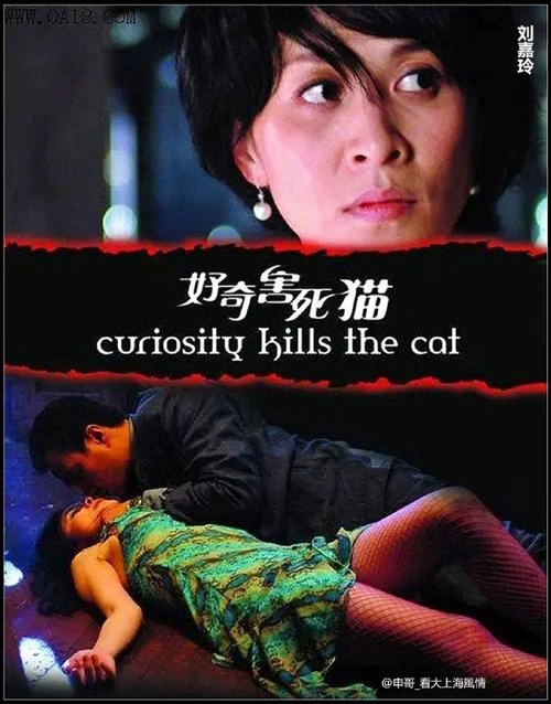 好奇害死猫 刘嘉玲 爱情片 官方剧照