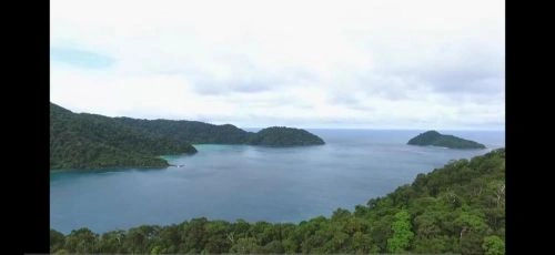 狂野泰国 纪录片 剧照