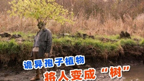 独自赴死 恐怖片 画面