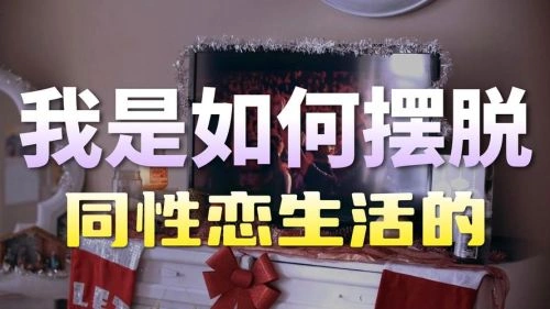 纪录片 反同运动的前世今生海报