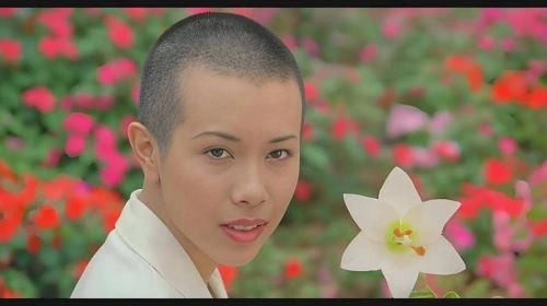我爱厨房 莫文蔚 剧情片 官方剧照