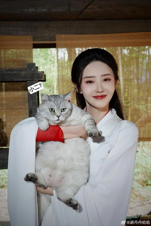 有夭 胡丹丹 国产剧 官方剧照