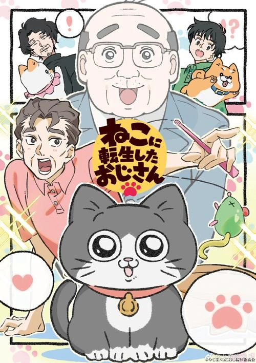 转生成猫的大叔 龟冈孝洋 动漫 官方剧照