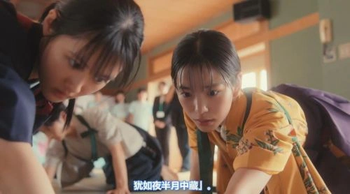 花牌情缘:巡 原菜乃华 日本剧 官方剧照