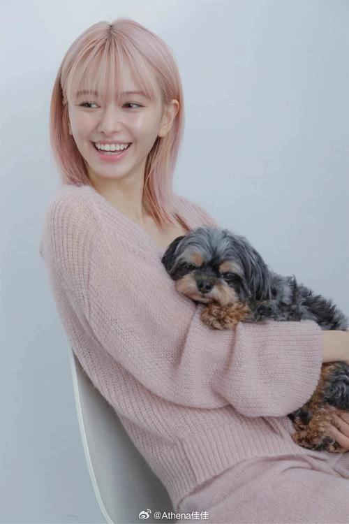 姐妹 山本舞香 日本剧 官方剧照