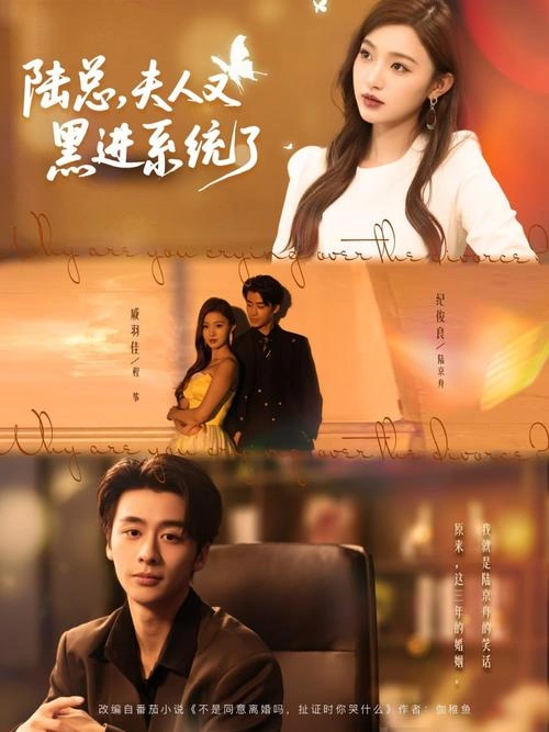 叛逆青春校园第二季 内详 欧美剧 官方剧照