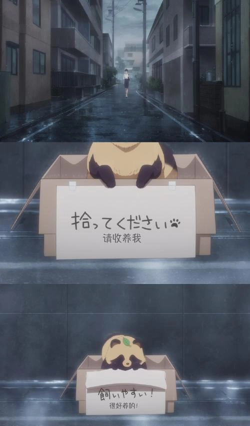 雨天遇见狸 麦穗杏菜 动漫 官方剧照