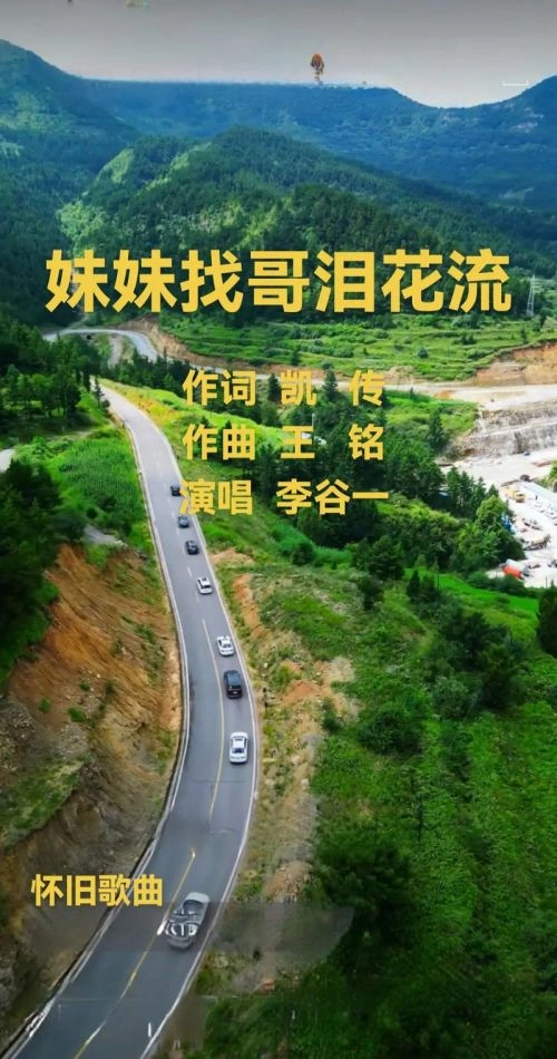 刘闯 主演 妹妹找哥泪花流