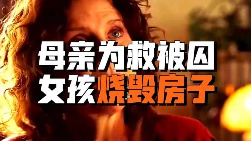 阁楼上的女孩 剧情片海报