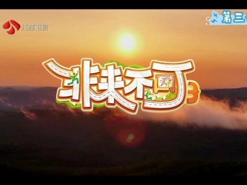 非来不可第三季 综艺 宣传照