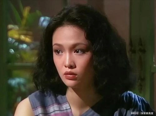 家有娇妻粤语 郑裕玲 香港剧 官方剧照