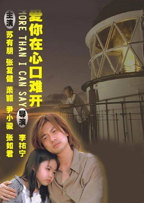 拳王粤语 香港剧 海报