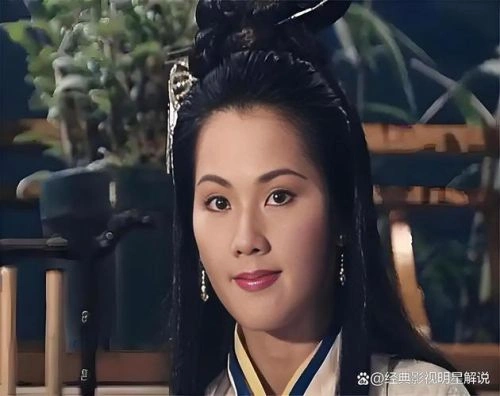 婉静 主演 新重案传真粤语 香港剧