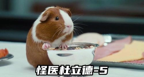 怪医杜立德4:宠物司令官 喜剧片 剧照
