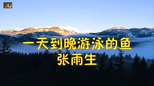 一天到晚游泳的鱼 剧情片宣传照