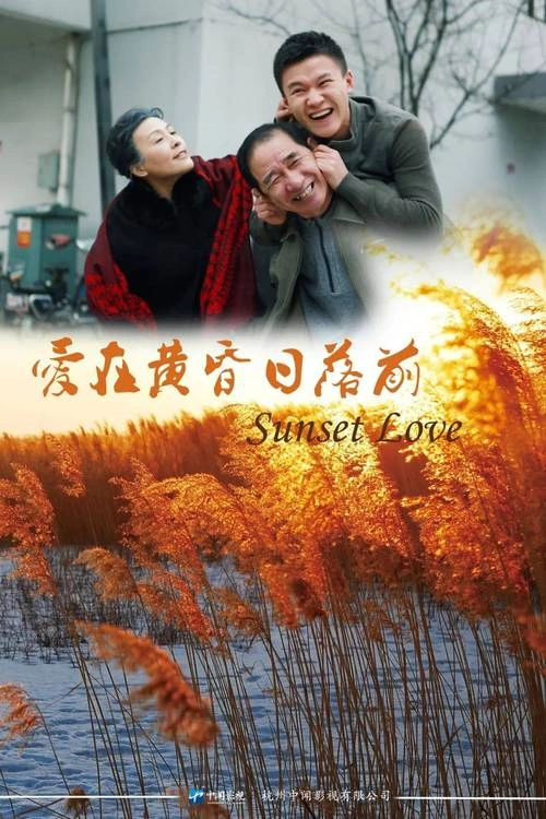 爱在黄昏日落前 剧情片画面