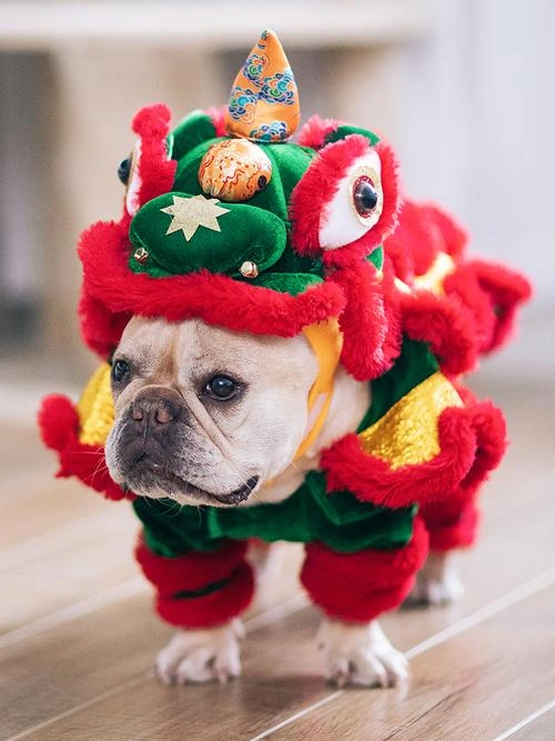 Jaret Sacrey 在 狗狗圣诞节 中