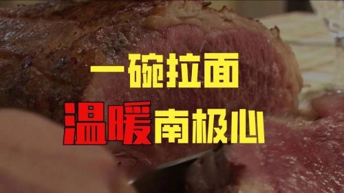 南极料理人 古关安广 喜剧片 官方剧照