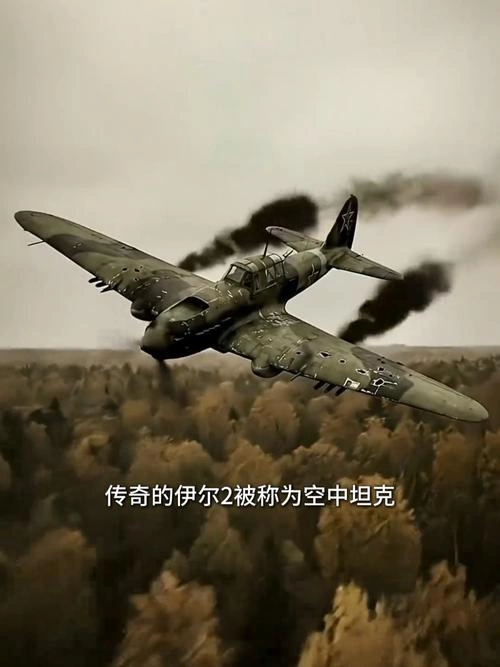 飞行员 得·费奥多罗夫 战争片 官方剧照
