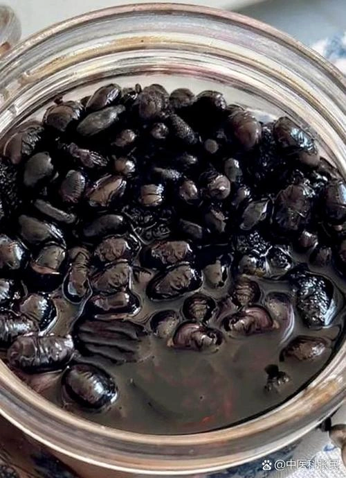 黑豆 恐怖片 素材