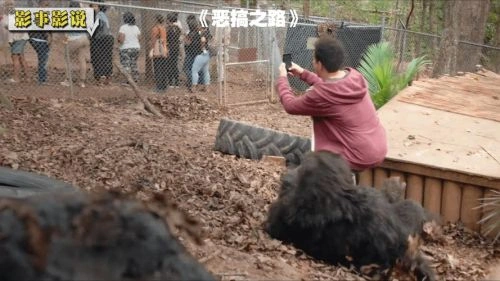 恶搞之路 克·安德烈 喜剧片 官方剧照