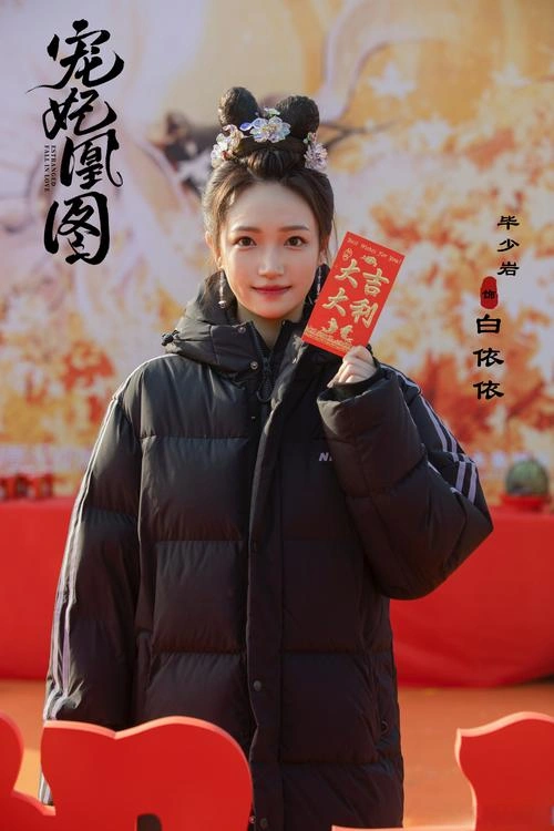 夫人2025 国产剧 毕少岩 海报