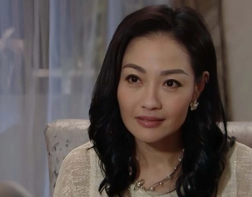 女干探国语 杨玉梅 香港剧 官方剧照