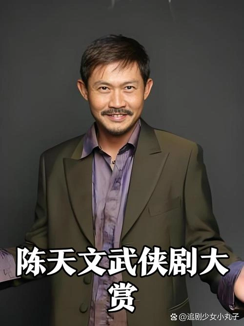 鹤啸九天国语 陈天文 香港剧 官方剧照